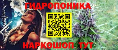 ALPHA PVP Бердск