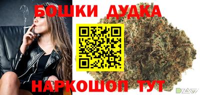 ALPHA PVP Бердск