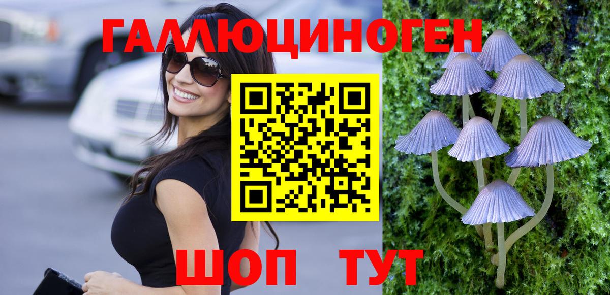 Елизово  Галлюциногенные грибы прущие грибы  Псилоцибиновые грибы прущие грибы  Вход с VPN 