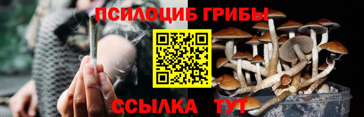 Псилоцибиновые грибы Magic Shrooms Елизово